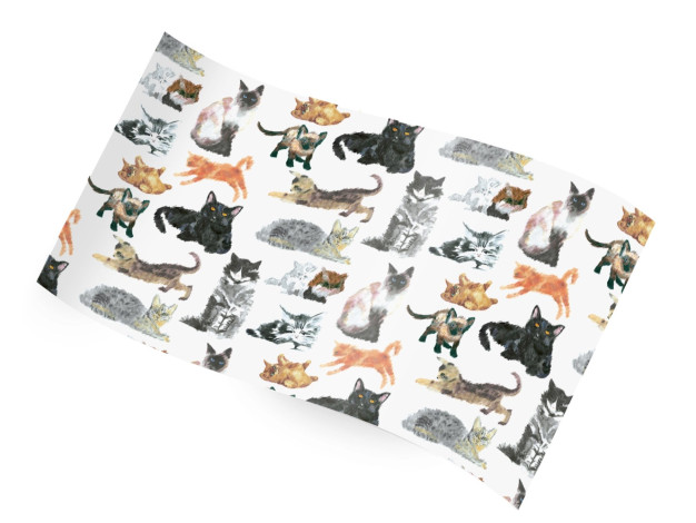 Cats And Kittens - Printed Tissue Sheets, 20 x 30
