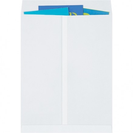 Jumbo Envelopes, White, 17 x 22"