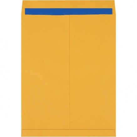 Jumbo Envelopes, Kraft, 17 x 22"